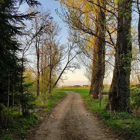 Pod Bocianem شوشولو