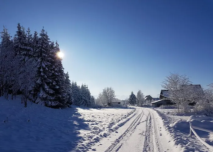 בית אירוח Pod Bocianem