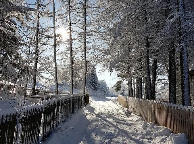 Pod Bocianem ホームステイ