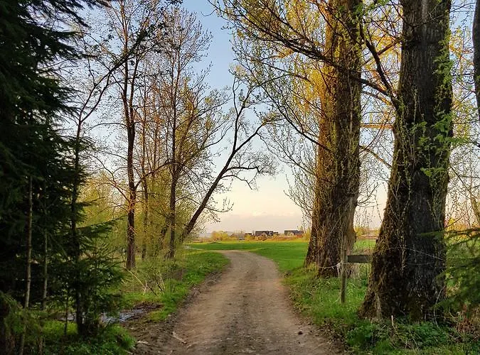 Pod Bocianem ホホウフ
